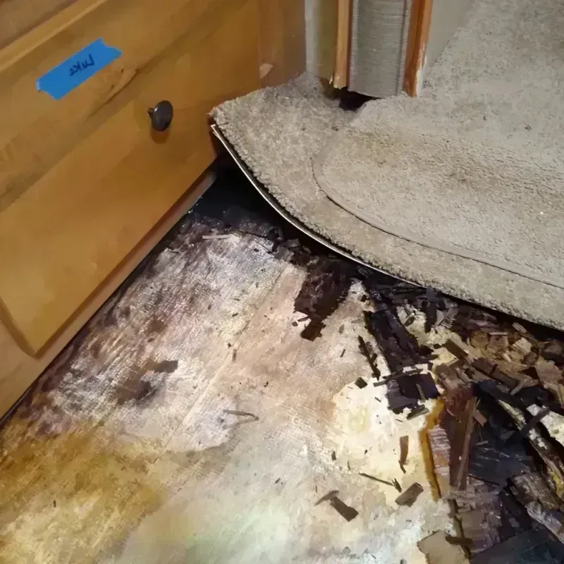 Best Wood Floor Water Damage Service in Park Ridge, NJ